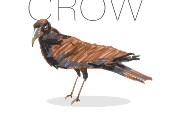 crow