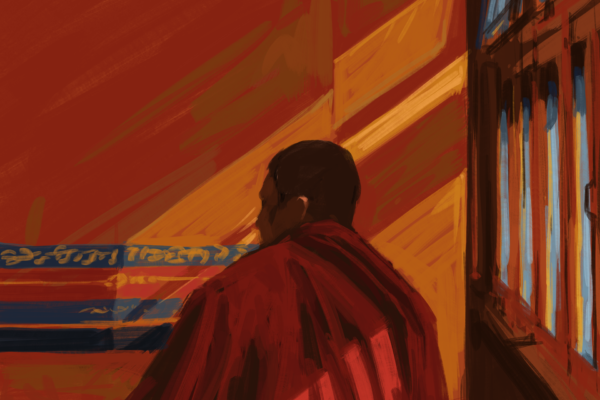landscape6