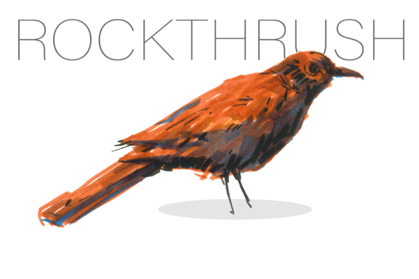 rockthrush