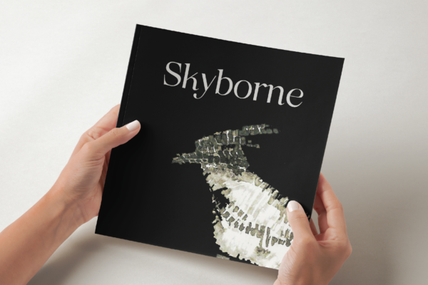 cover image-01