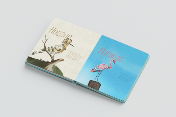 inside-image2-