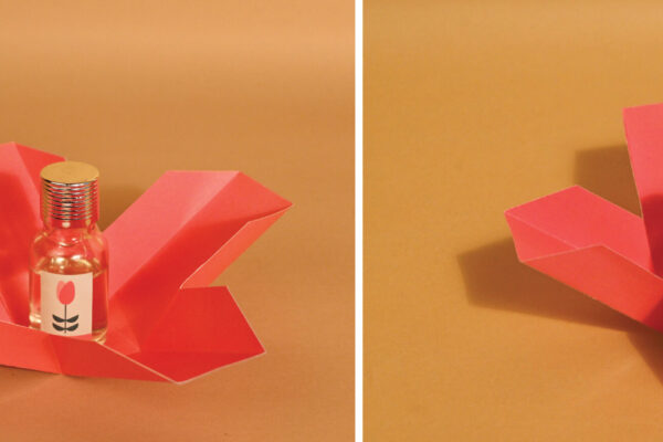 packaging1